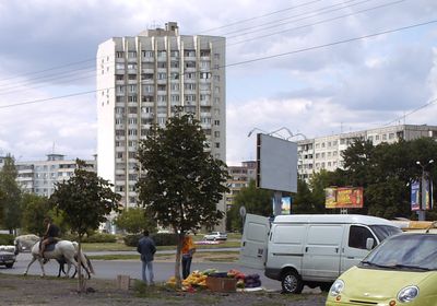 Директор Инновационного центра АПК РО Судоргин Н.Г.